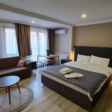 Lejlighed Arrow Ortakoey Istanbul